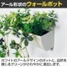 ベルク フェイクグリーン ウォールグリーン マグネットグリーン ポットタイプW300 人工 造花 GR4492 幅380×奥行200×高さ400mm-8