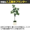 ベルク ボックスプランター 樹木プランター フィカスベンジャミン 人工 造花 GR5086 高さ1200mm-2