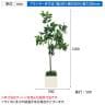 ベルク ボックスプランター 樹木プランター フィカスベンジャミン 人工 造花 GR5086 高さ1200mm-3