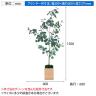 ベルク ボックスプランター 樹木プランター ユーカリ 人工 造花 GR5090 高さ1500mm-4