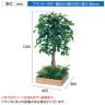 ベルク 土台プランター 450角 フィカスベンジャミン 国産 テーブル樹木 人工観葉植物 フェイクグリーン GR5121 幅800×奥行800×高さ1200mm オフィス 休憩室-10