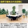 ベルク 土台プランター 450角 フィカスベンジャミン 国産 テーブル樹木 人工観葉植物 フェイクグリーン GR5121 幅800×奥行800×高さ1200mm オフィス 休憩室-4