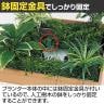 ベルク 土台プランター 450角 フィカスベンジャミン 国産 テーブル樹木 人工観葉植物 フェイクグリーン GR5121 幅800×奥行800×高さ1200mm オフィス 休憩室-8