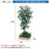 ベルク 土台プランター 450角 フィカスベンジャミン 国産 テーブル樹木 人工観葉植物 フェイクグリーン GR5122 幅750×奥行750×高さ1500mm オフィス 休憩室-10