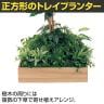 ベルク 土台プランター 450角 フィカスベンジャミン 国産 テーブル樹木 人工観葉植物 フェイクグリーン GR5122 幅750×奥行750×高さ1500mm オフィス 休憩室-5