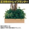 ベルク 土台プランター 450角 フィカスベンジャミン 国産 テーブル樹木 人工観葉植物 フェイクグリーン GR5123 幅1000×奥行1000×高さ1800mm オフィス 休憩室-5