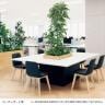 ベルク 土台プランター 450角 ドウダン 国産 テーブル樹木 人工観葉植物 フェイクグリーン GR5124 幅1200×奥行1200×高さ1900mm オフィス 休憩室-2