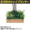 ベルク 土台プランター 450角 ドウダン 国産 テーブル樹木 人工観葉植物 フェイクグリーン GR5124 幅1200×奥行1200×高さ1900mm オフィス 休憩室-5