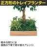 ベルク 土台プランター 530角 フィカスベンジャミン 国産 テーブル樹木 人工観葉植物 フェイクグリーン GR5125 幅800×奥行800×高さ1200mm オフィス 休憩室-5
