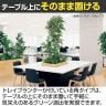 ベルク 土台プランター 530角 フィカスベンジャミン 国産 テーブル樹木 人工観葉植物 フェイクグリーン GR5125 幅800×奥行800×高さ1200mm オフィス 休憩室-6