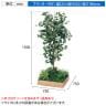ベルク 土台プランター 530角 フィカスベンジャミン 国産 テーブル樹木 人工観葉植物 フェイクグリーン GR5126 幅750×奥行750×高さ1500mm オフィス 休憩室-10