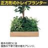 ベルク 土台プランター 530角 フィカスベンジャミン 国産 テーブル樹木 人工観葉植物 フェイクグリーン GR5126 幅750×奥行750×高さ1500mm オフィス 休憩室-5