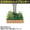 ベルク 土台プランター 530角 ドウダン 国産 テーブル樹木 人工観葉植物 フェイクグリーン GR5128 幅1200×奥行1200×高さ1900mm オフィス 休憩室-5