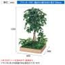 ベルク 土台プランター 600角 フィカスベンジャミン 国産 テーブル樹木 人工観葉植物 フェイクグリーン GR5129 幅800×奥行800×高さ1200mm オフィス 休憩室-10