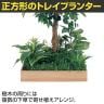 ベルク 土台プランター 600角 フィカスベンジャミン 国産 テーブル樹木 人工観葉植物 フェイクグリーン GR5129 幅800×奥行800×高さ1200mm オフィス 休憩室-5