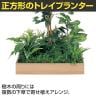 ベルク 土台プランター 600角 フィカスベンジャミン 国産 テーブル樹木 人工観葉植物 フェイクグリーン GR5130 幅750×奥行750×高さ1500mm オフィス 休憩室-5