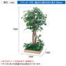 ベルク 土台プランター 600角 フィカスベンジャミン 国産 テーブル樹木 人工観葉植物 フェイクグリーン GR5131 幅1000×奥行1000×高さ1800mm オフィス 休憩室-10