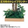 ベルク 土台プランター 600角 フィカスベンジャミン 国産 テーブル樹木 人工観葉植物 フェイクグリーン GR5131 幅1000×奥行1000×高さ1800mm オフィス 休憩室-5