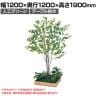 ベルク 土台プランター 600角 ドウダン 国産 テーブル樹木 人工観葉植物 フェイクグリーン GR5132 幅1200×奥行1200×高さ1900mm オフィス 休憩室
