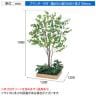ベルク 土台プランター 600角 ドウダン 国産 テーブル樹木 人工観葉植物 フェイクグリーン GR5132 幅1200×奥行1200×高さ1900mm オフィス 休憩室-10