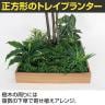 ベルク 土台プランター 600角 ドウダン 国産 テーブル樹木 人工観葉植物 フェイクグリーン GR5132 幅1200×奥行1200×高さ1900mm オフィス 休憩室-5