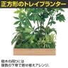ベルク 土台プランター 600角 パキラ&シェフレラ 国産 テーブル樹木 人工観葉植物 フェイクグリーン GR5133 幅1200×奥行1200×高さ1500mm オフィス 休憩室-5