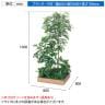 ベルク 土台プランター 600角 トネリコ&シェフレラ 国産 テーブル樹木 人工観葉植物 フェイクグリーン GR5134 幅800×奥行800×高さ1600mm オフィス 休憩室-10