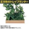 ベルク 土台プランター 600角 トネリコ&シェフレラ 国産 テーブル樹木 人工観葉植物 フェイクグリーン GR5134 幅800×奥行800×高さ1600mm オフィス 休憩室-5