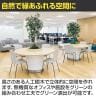 ベルク 土台パネル 450丸型 フィカスベンジャミン 国産 プランター テーブル樹木 人工観葉植物 フェイクグリーン GR5137 直径1000×高さ1800mm オフィス 休憩室-6