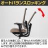 Dauphin (ドーファン) 肘付き 背メッシュ オフィスチェア デスクチェア オートバランスロッキング ランバーサポート付 高機能 ID-7056-5