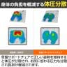 骨盤サポートチェア MyComfy マイコンフィ 姿勢サポート 座椅子 在宅ワーク オフィス 人間工学 キャスター付き RC-1100-12