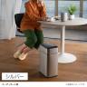 EKO ゴミ箱 18L ダストボックス ファントムプロセンサービン 電池式 センサー感知 自動開閉 ハンズフリー操作 静音 スチール製 EK9577-18L-5