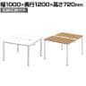 Multipurpose TABLE(マルチパーパステーブル) 幅1000mm フリーアドレスデスク 会議机 基本型/MP-1012SS