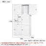 スチールロッカー 浅型 6人用 鍵付き コインリターン錠 スチール スタンダード 業務用 幅900×奥行450×高さ1790mm 【国産】 【完成品】 / TLK-RC6S-9