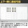 イナバ TF ティーエフ ヒンジドア 両開き扉 書庫 キャビネット 収納 2段 国産 TF-B-07-9045 TF0111 幅900×奥行450×高さ720mm-9