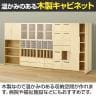 【在庫処分特価】木製ユニットキャビネット 1段デバイダー キャビネット 書庫 幅800×奥行395×高さ420mm-2