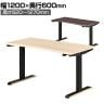 コイズミ GENTLER ジェントラー 電動昇降デスク 高さ調節 スタンディングデスク 昇降机 配線収納 テレワーク 学習机 幅1200×奥行600×高さ620～1270mm