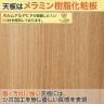 【4人用 会議セット】メティオ ミーティングテーブル 1500×750 + 革張りチェア 可動肘付き レクアス 【4脚セット】【テーブル)ホワイト:販売終了】-9
