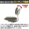 DIPchair ディップチェア オフィスチェア デスクチェア 事務椅子 ファブリック 在宅 背ロッキング機能 肘なし 布張り 日本製 国産 DC-T12G 幅570×奥行500×高さ785～865mm-11
