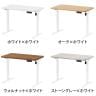 電動昇降デスク PABLO-3S 幅1000×奥行600×高さ680～1080mm メモリー・衝突防止機能 在宅 テレワーク スタンディングデスク 昇降デスク パソコンデスク オフィスデスク-1