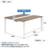 オカムラ プリシード PRECEDE フリーアドレスデスク 4人用 フリースタンディング両面タイプ 3A21AD 3A24AD 脚・脚カバー同色 プライズウッド天板 塗装脚 幅2000×奥行1600×高さ720mm-4