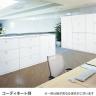 オカムラ レクトライン収納 下置き用 4B71ZC ZA75 ラテラルキャビネット2段 シリンダー錠 スタンダード 幅900×奥行450×高さ760mm-1
