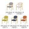 オリバー 福祉介護用チェア S・CW-A020B・AC 全肘 ビニールレザーCL39 スタッキング 抗菌 耐アルコール 耐次亜塩素酸 日本製 幅500×奥行550×高さ750mm-1