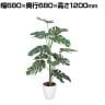 ポピー 観葉植物 人工樹木 モンステラ 日本製 国産 幅680×奥行680×高さ1200mm フェイクグリーン 葉 造花 インテリア オフィス おしゃれ