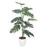 ポピー 観葉植物 人工樹木 モンステラ 日本製 国産 幅680×奥行680×高さ1200mm フェイクグリーン 葉 造花 インテリア オフィス おしゃれ-19