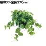 ポピー 観葉植物 人工樹木 ポトスポット グリーンポット 幅800×全長370mm フェイクグリーン 葉 造花 インテリア オフィス おしゃれ