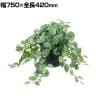 ポピー 観葉植物 人工樹木 フィトニアポット グリーンポット 幅750×全長420mm フェイクグリーン 葉 造花 インテリア オフィス おしゃれ