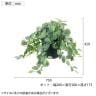ポピー 観葉植物 人工樹木 フィトニアポット グリーンポット 幅750×全長420mm フェイクグリーン 葉 造花 インテリア オフィス おしゃれ-1