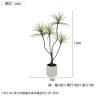 ポピー 観葉植物 人工樹木 ドラセナポット 幅700×全長1100mm フェイクグリーン 葉 造花 インテリア オフィス おしゃれ-1