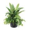 ポピー 観葉植物 人工樹木 ドラセナミックスグリーンポット 卓上グリーンポット 幅530×全長450mm フェイクグリーン 葉 造花 インテリア オフィス おしゃれ-19